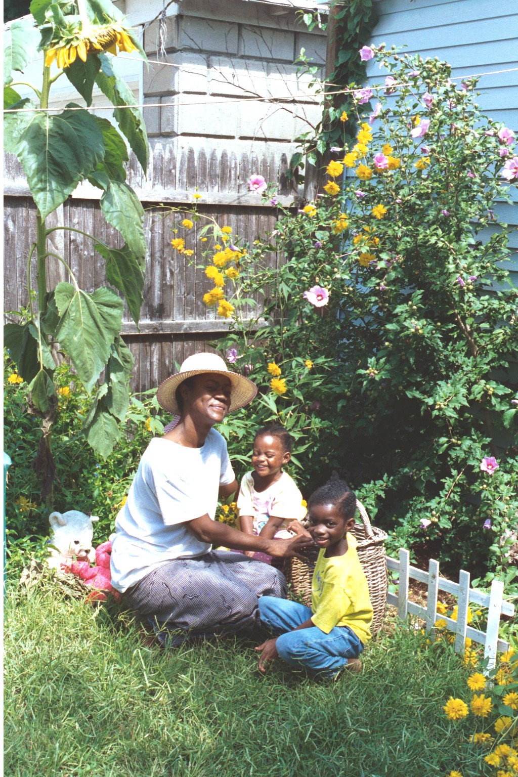 The sun flower towers over the girls in the back yard.